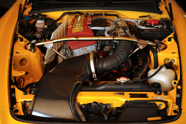 131027 kuma 2 DSC_5742.jpg